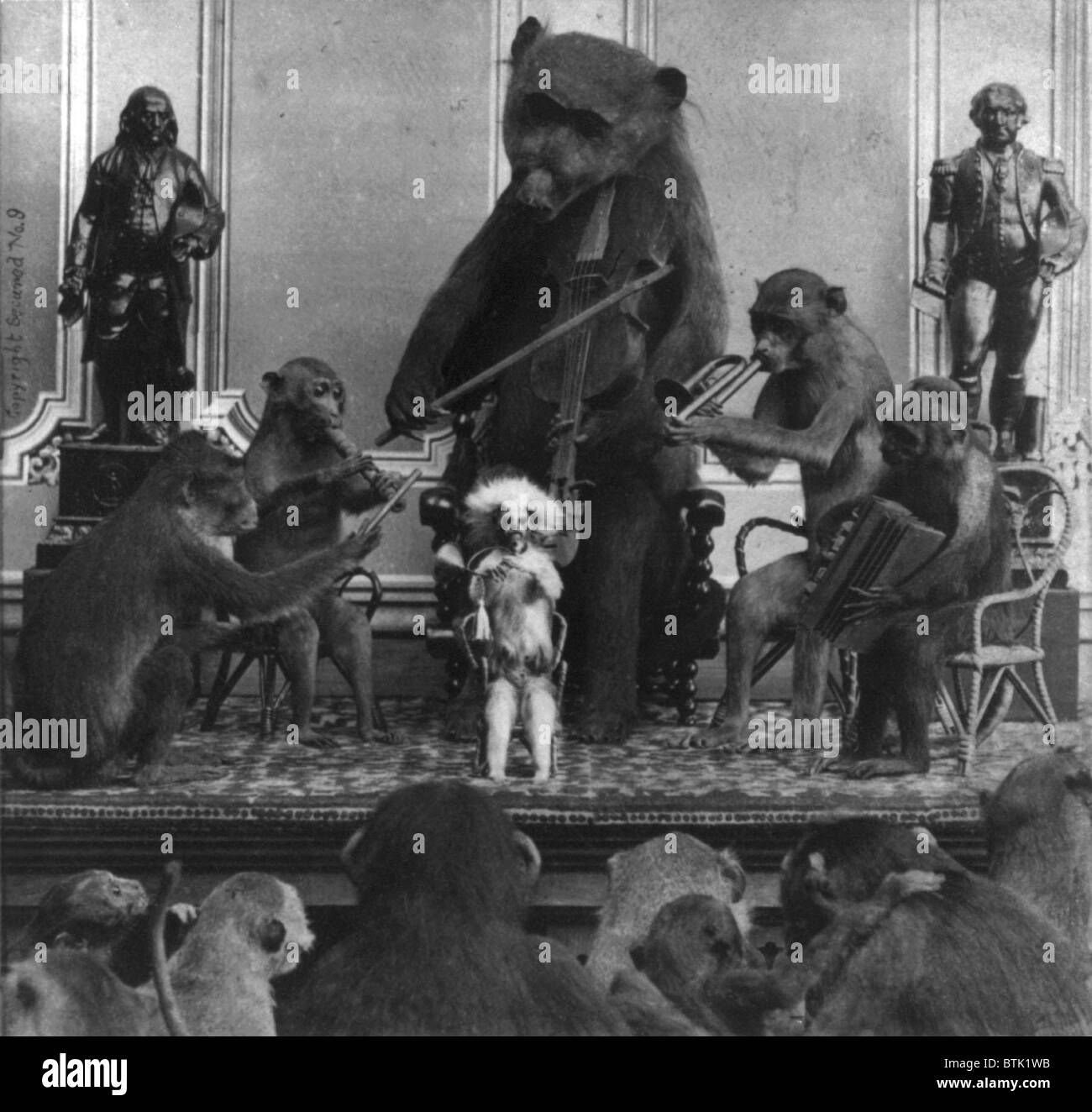 La taxidermie, mounted animals, singes jouant des instruments de musique et d'une réplique d'un ours avec un violon, photo de Eugene S. M. Haines, 1870 Banque D'Images