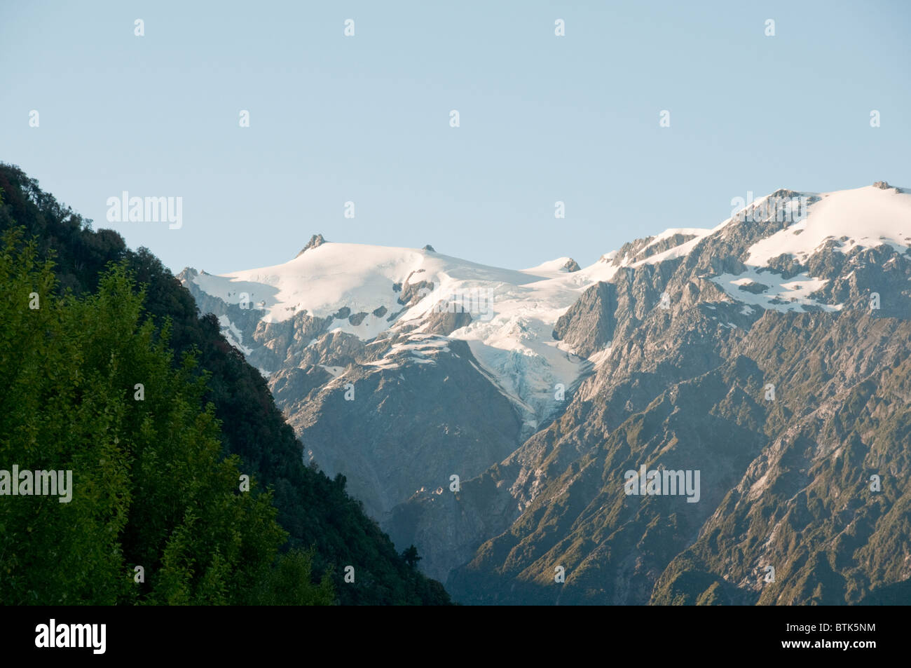 Franz Josef,Ville,pics enneigés des Alpes du Sud, au prorata des arbres dans le parc national de Westland,Fleurs,Îles du Sud, Nouvelle-Zélande Banque D'Images