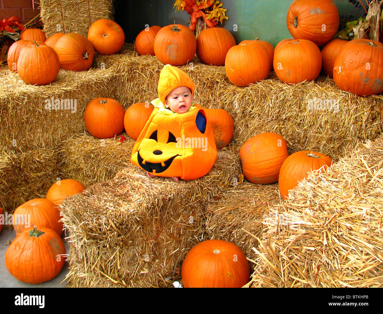 Bebe Habilles En Costume Halloween Citrouille Assis Parmi Les Citrouilles Photo Stock Alamy Bebe Habilles En Costume Halloween Citrouille Assis Parmi Les Citrouilles Photo Stock Alamy