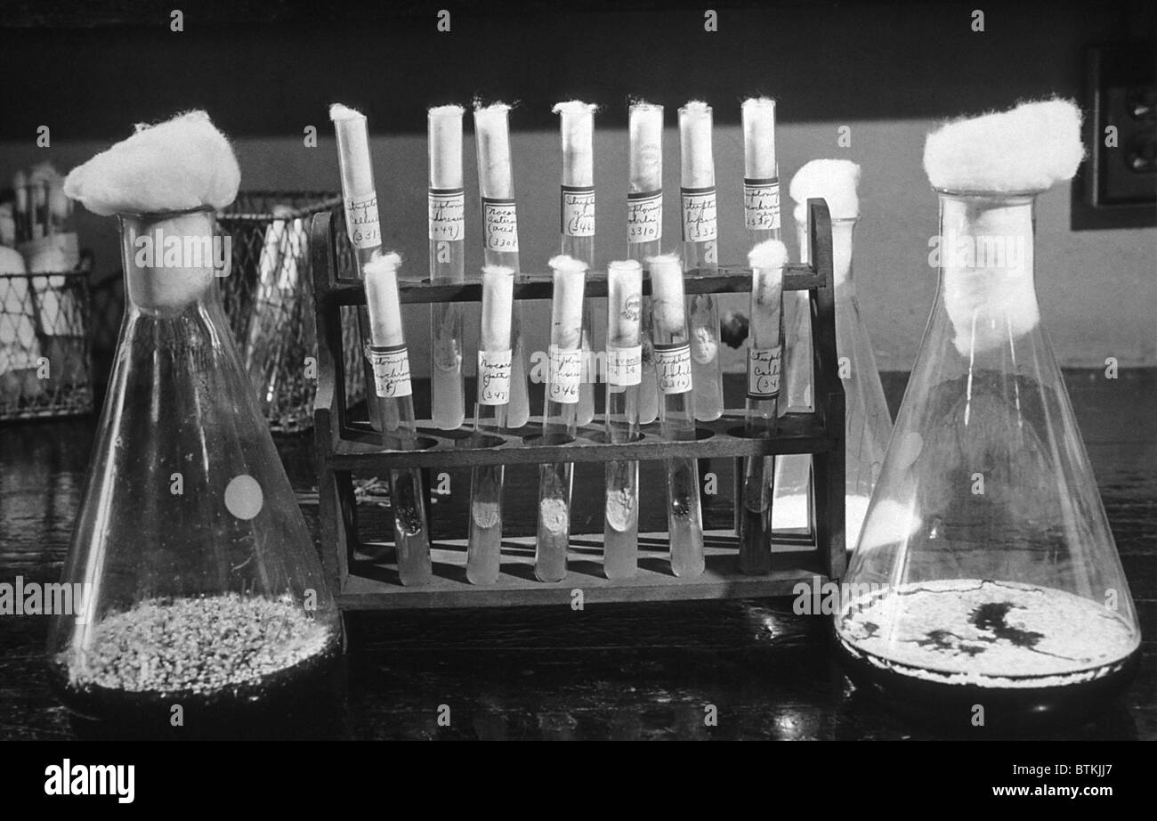 Flacons de laboratoire et les tubes à essai utilisés dans le développement de la pénicilline. Ca. 1940. Banque D'Images