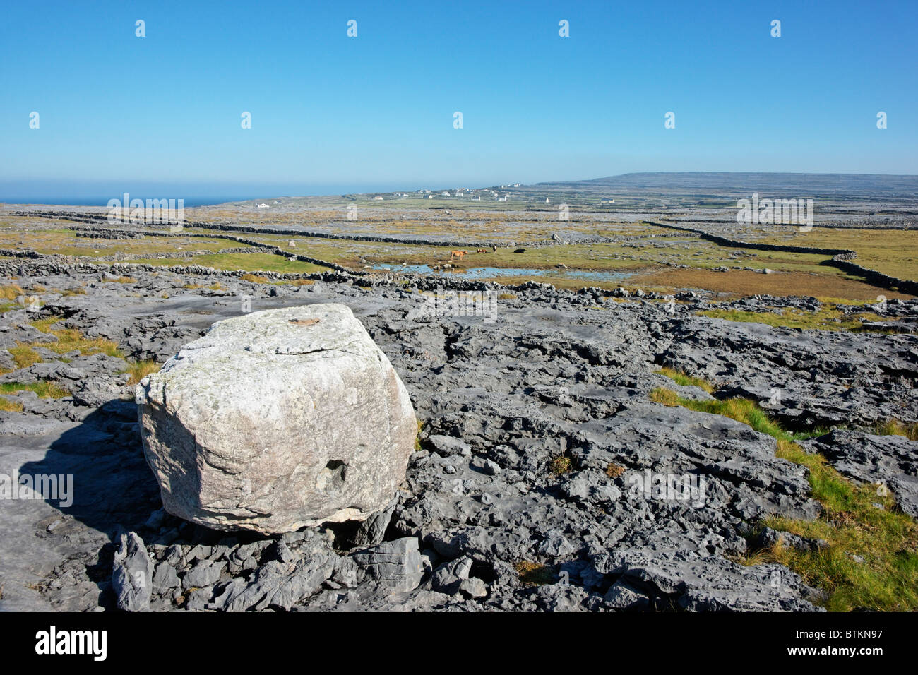Un bloc erratique sur le lapiez de l'Inishmore, Aran Islands, comté de Galway, Irlande, Connaught. Banque D'Images