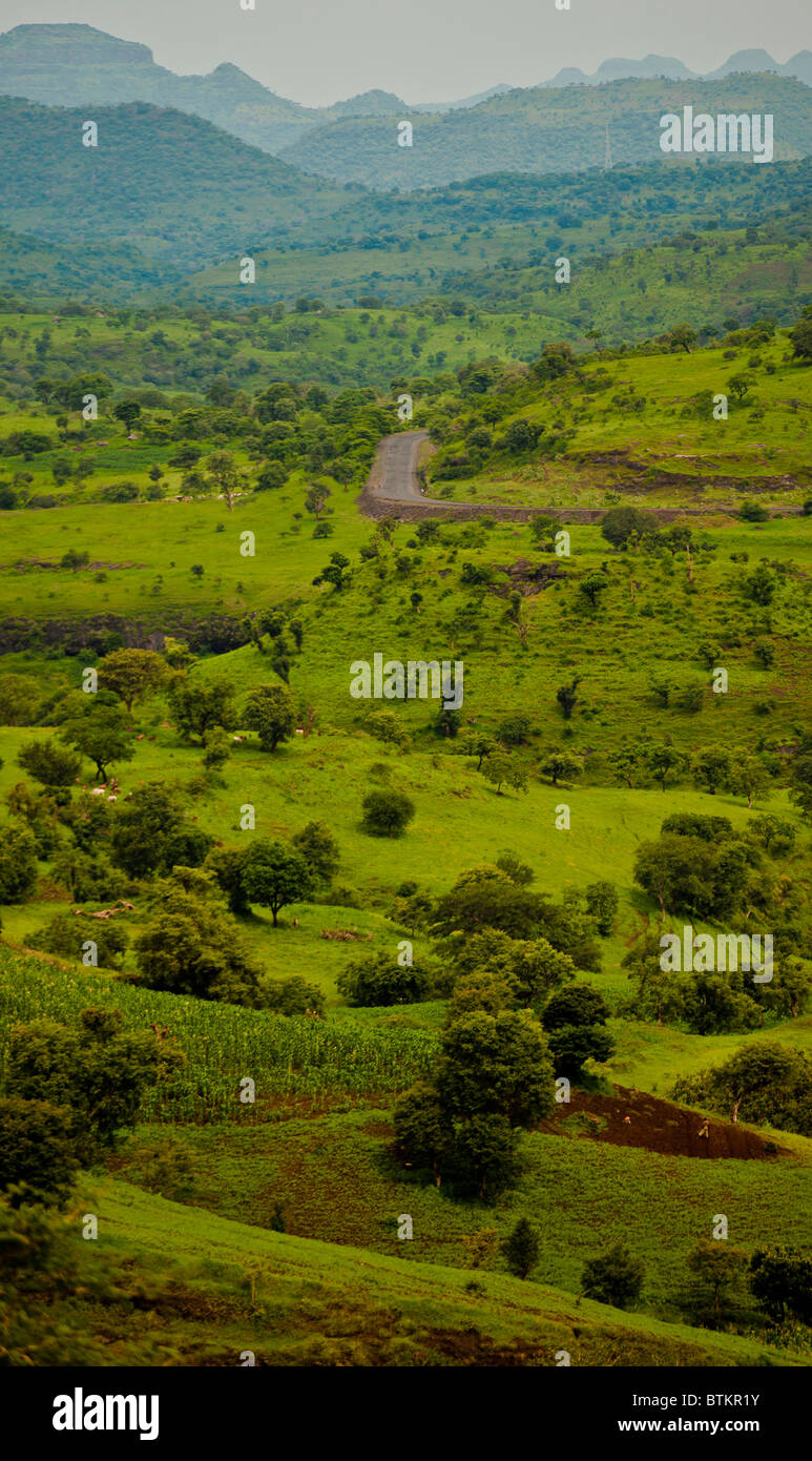 Paysage de collines éthiopiennes Banque D'Images