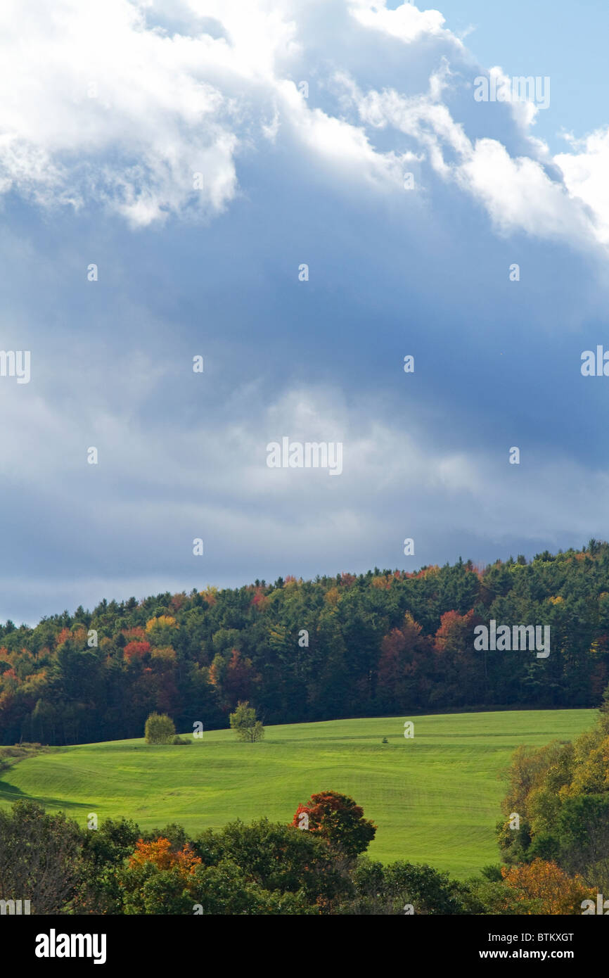 Beau terrain vert prairie d'un nouveau paysage qui dispose de l'Hampshire arbres colorés et feuilles d'automne, l'automne. Banque D'Images