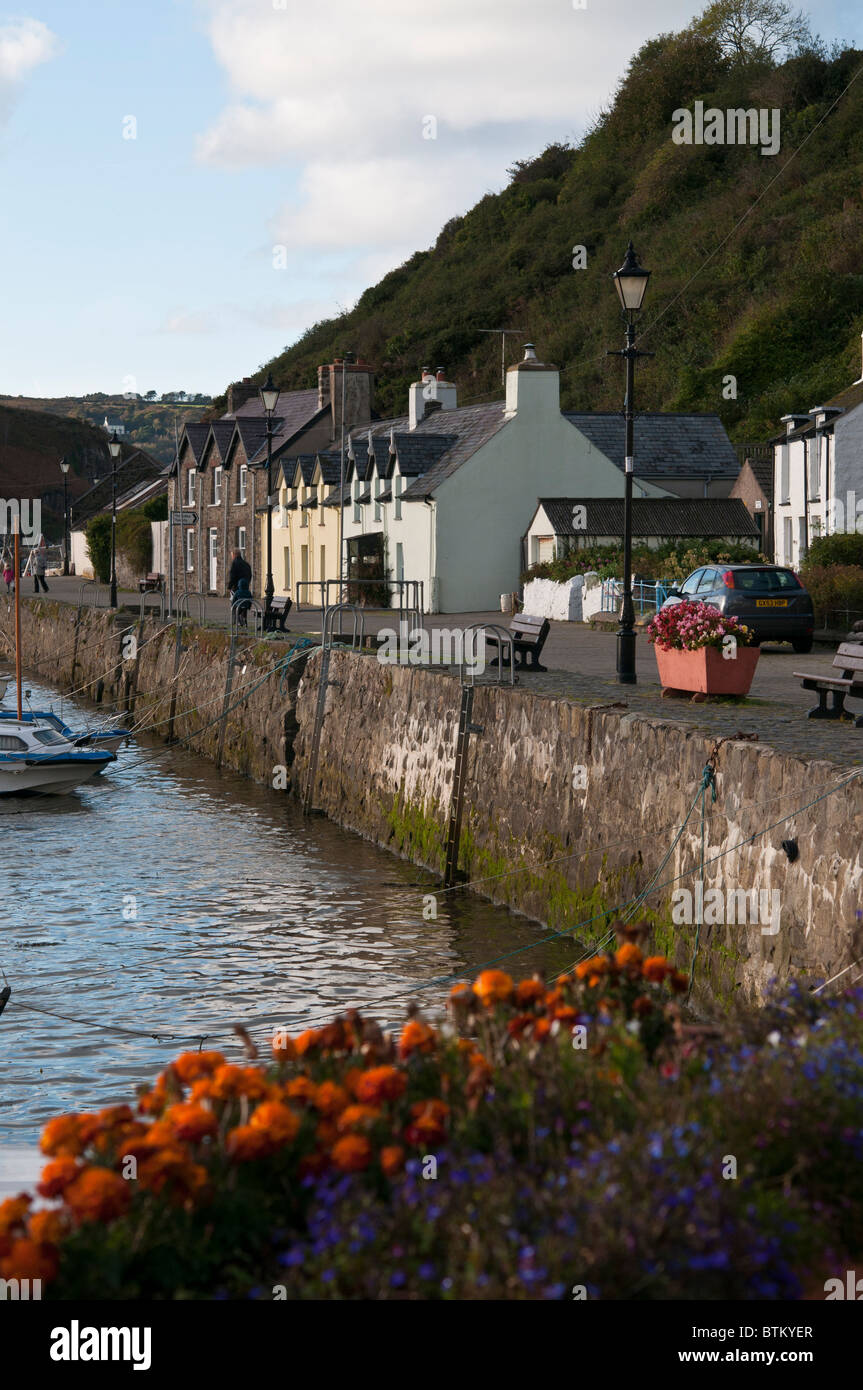 Les cabanes de pêcheurs avec des fleurs au premier plan, le long du port de Fishguard dans Pembrokeshire, Pays de Galles, Royaume-Uni Banque D'Images