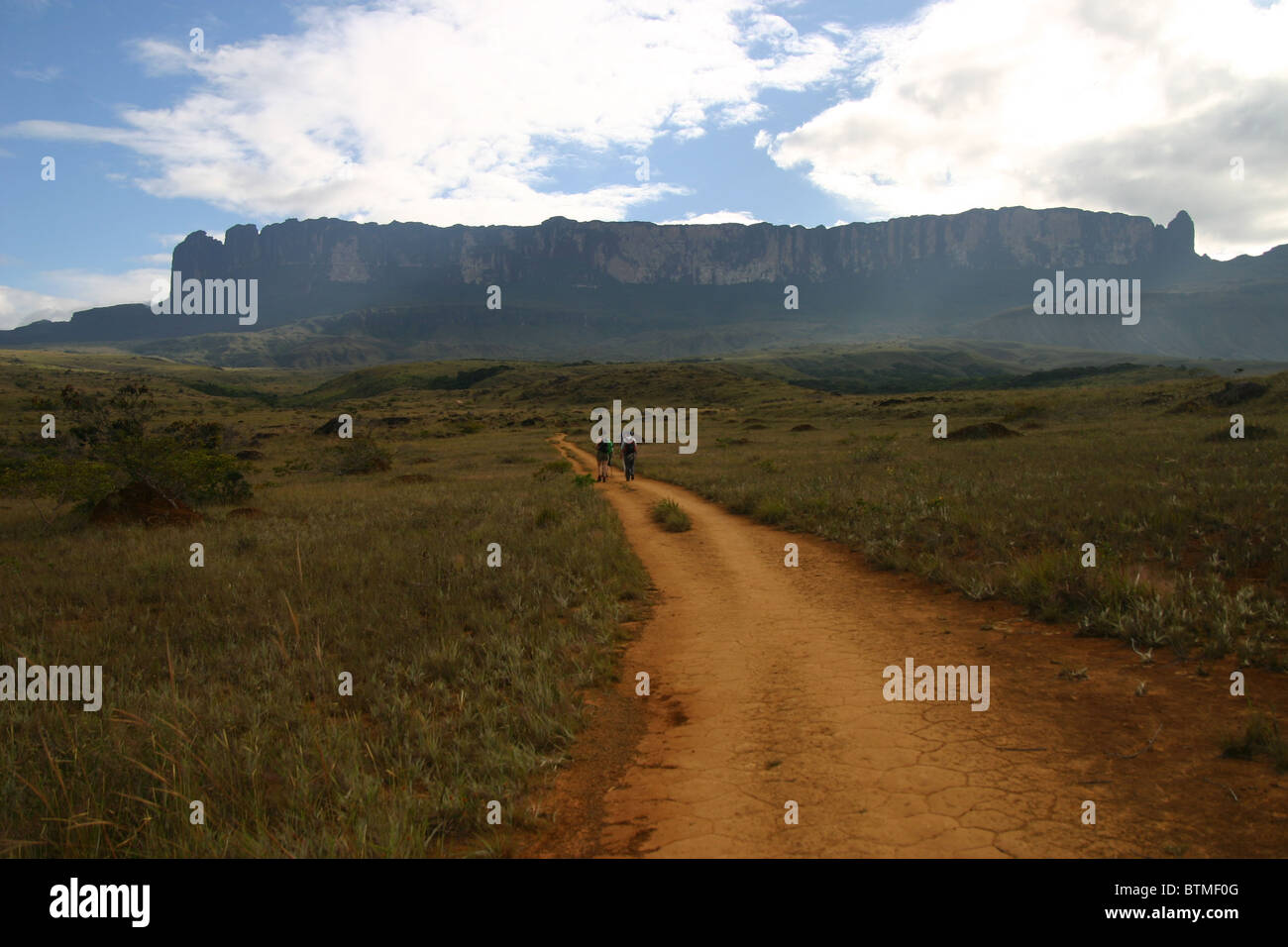 Les randonneurs à pied vers le Mont Roraima au Venezuela Banque D'Images