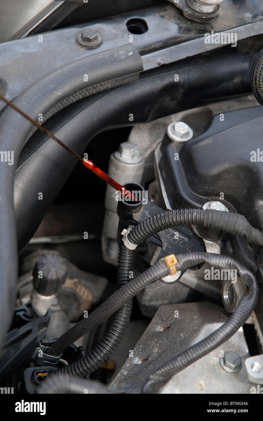Contrôle de jauge d'huile de voiture sur moteur Banque D'Images
