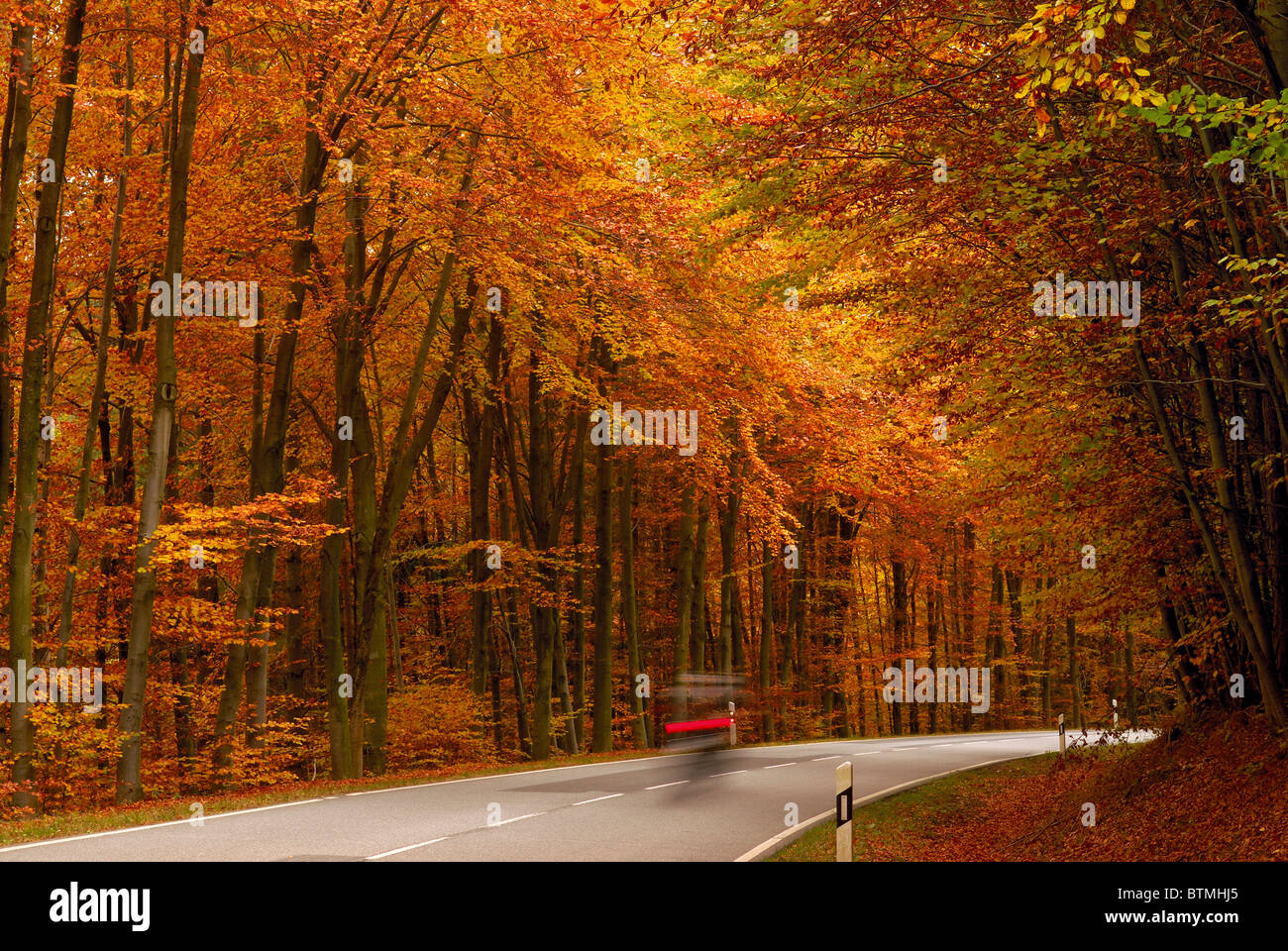 Allemagne, forêt Oden : Biker passant par dans la forêt d'automne de l'Odenwald Banque D'Images