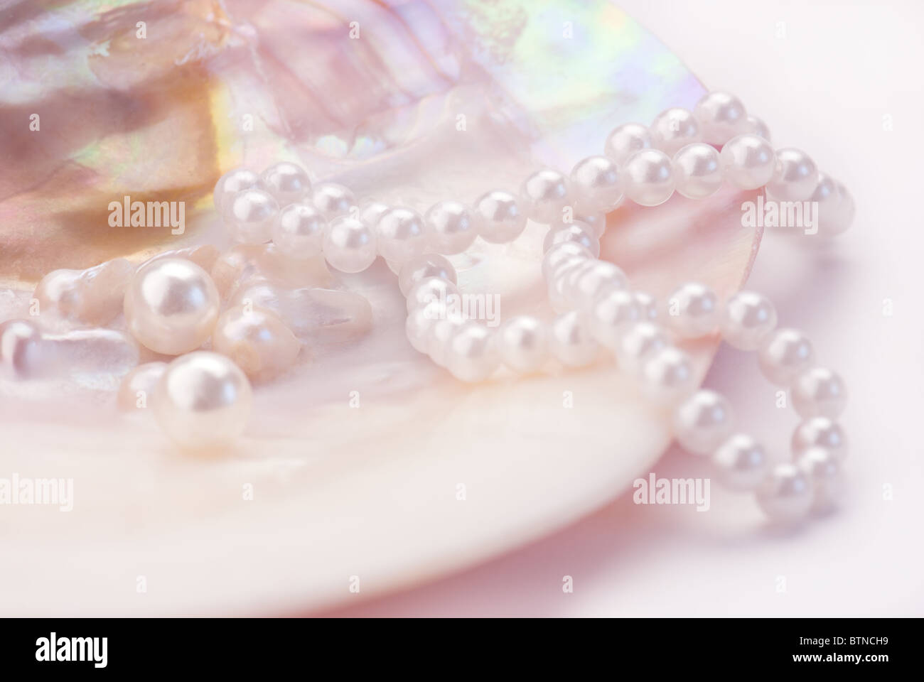 Collier de perles et macro dans une coquille d'huître. Image teintée rose Banque D'Images