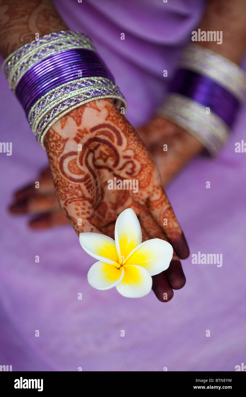 Indian girl portant un sari violet de henné mains tenant une fleur de frangipanier. L'Inde Banque D'Images
