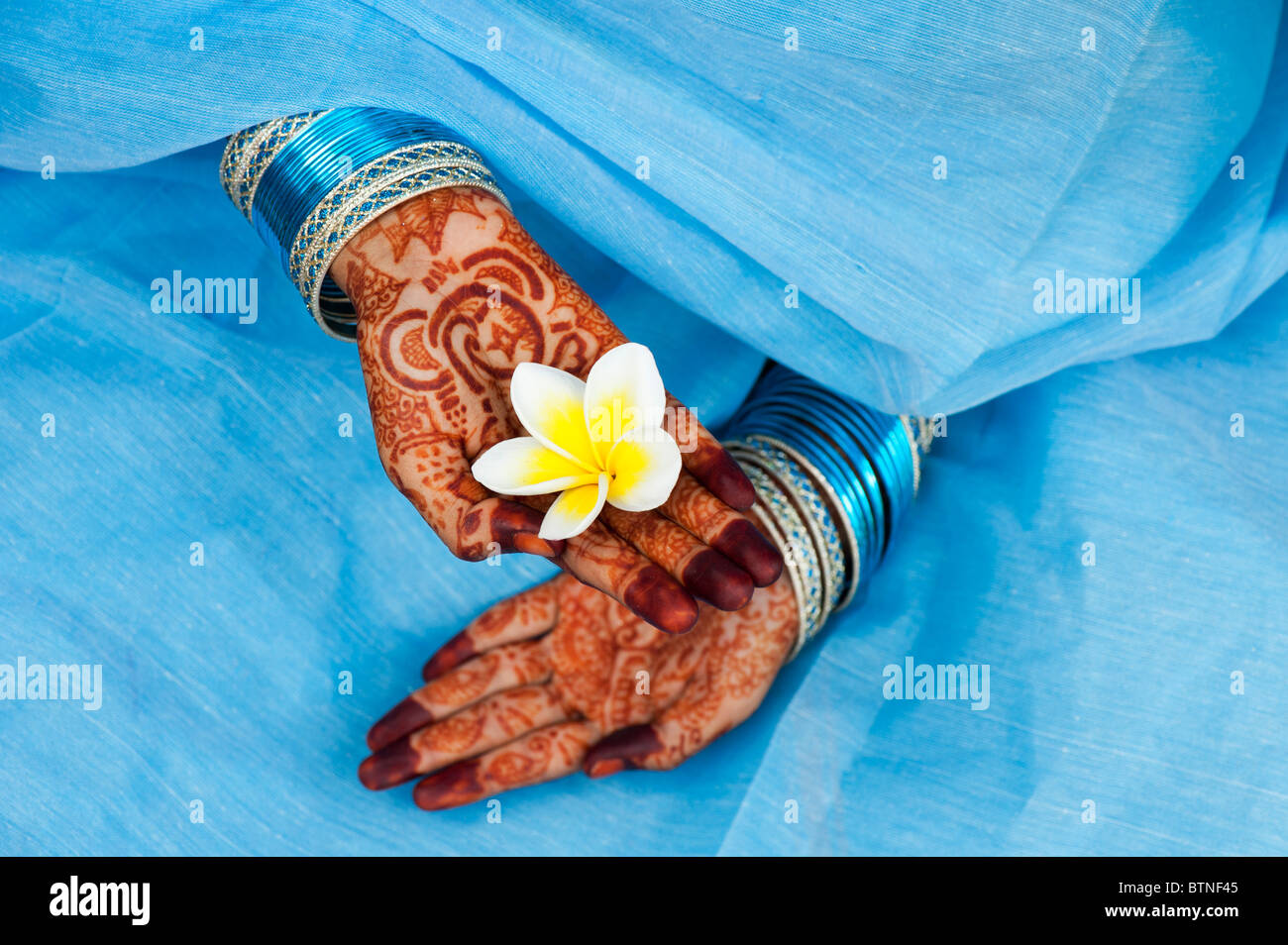 Indian girl wearing a blue sari de henné mains tenant une fleur de frangipanier. L'Inde Banque D'Images