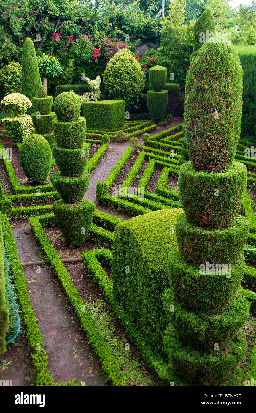 Jardim Botanico topiaire Portugal Madère Funchal Banque D'Images