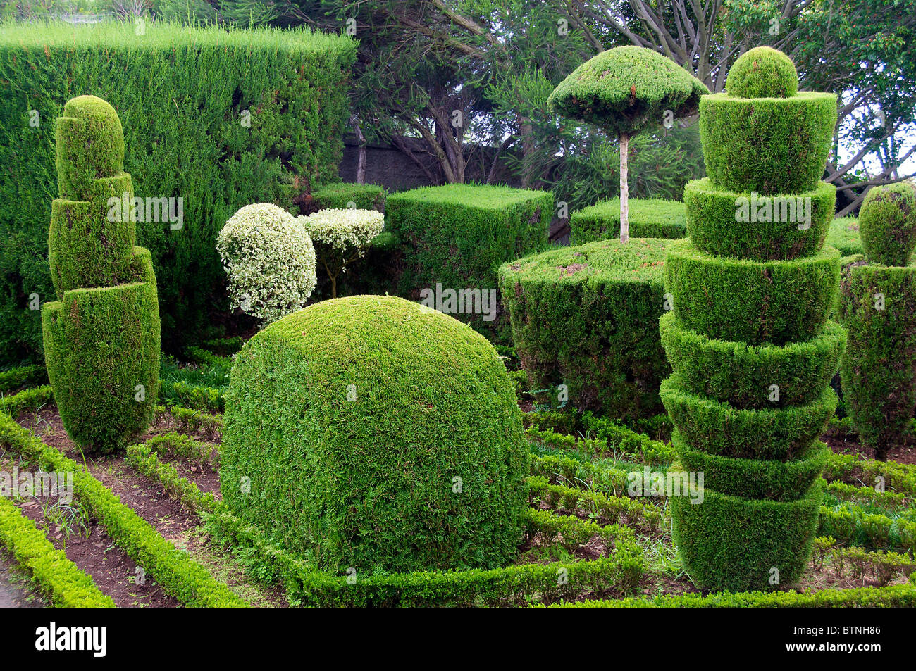 Jardim Botanico topiaire Portugal Madère Funchal Banque D'Images