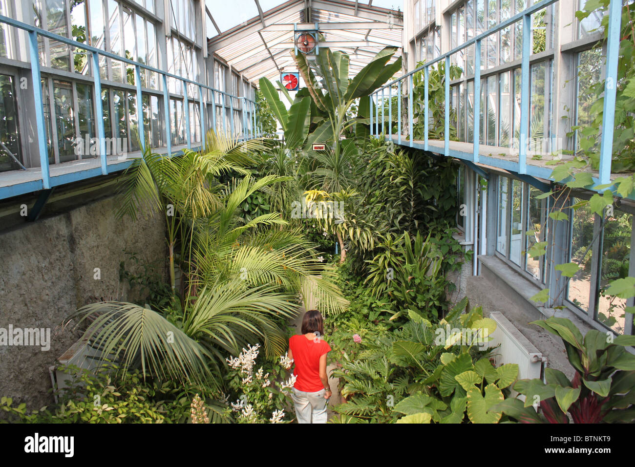 Le Jardin botanique de l'Université d'Istanbul Banque D'Images