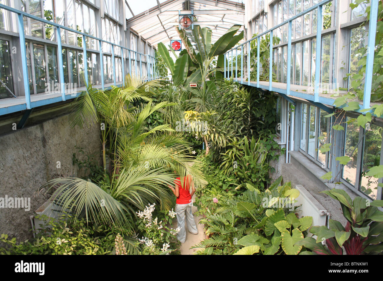 Le Jardin botanique de l'Université d'Istanbul Banque D'Images