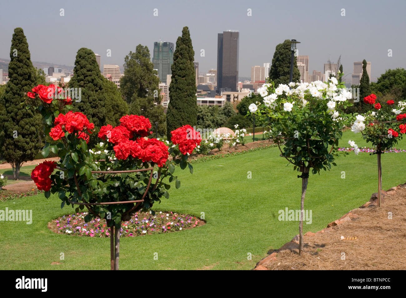 Jardins de l'Union Buildings, Pretoria Banque D'Images