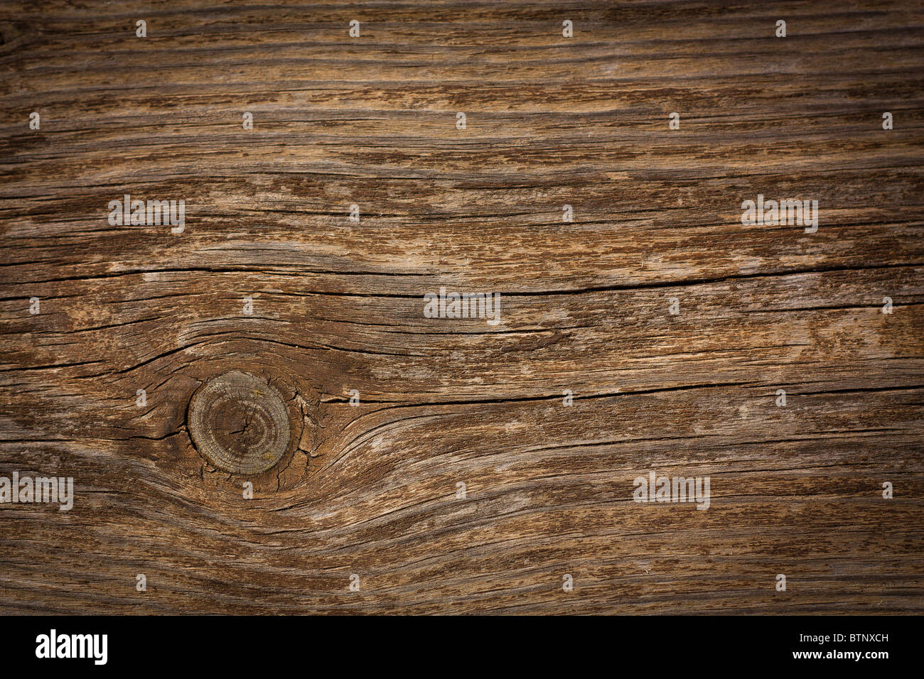 Texture du bois Banque D'Images