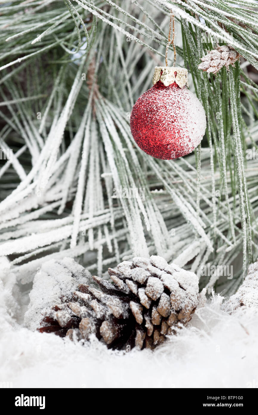 La glace d'un ornement de Noël suspendu à une branche d'arbre de pin dans le froid, le blanc, la neige nature sauvage. Banque D'Images