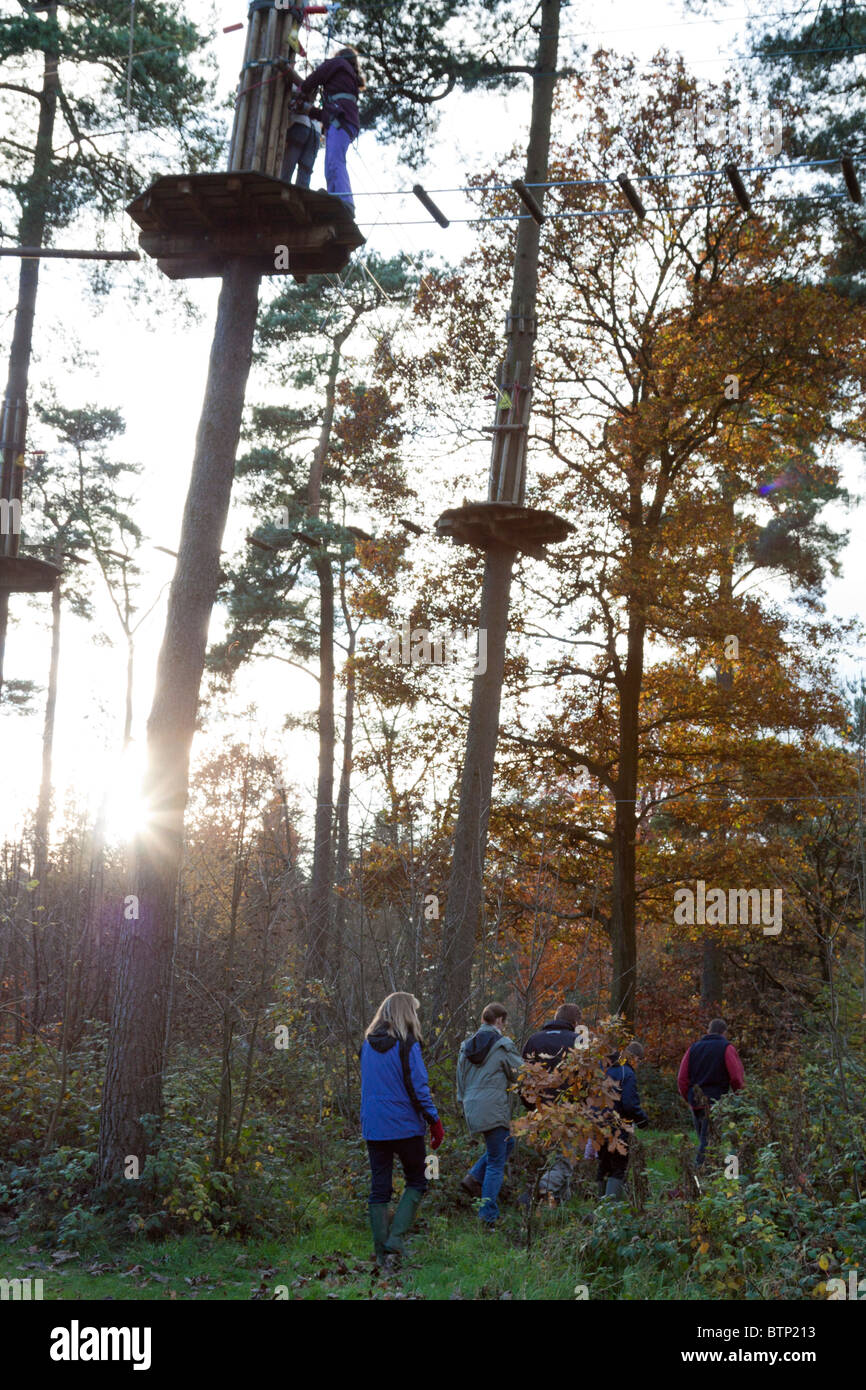 Wendover Woods - Buckinghamshire. Banque D'Images