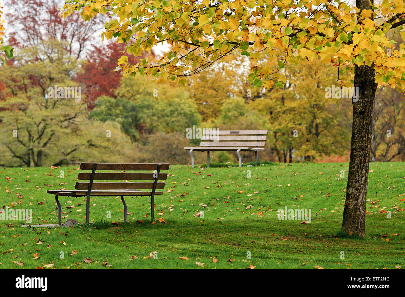 La solitude calme vide : bancs de parc de Jericho Beach Park, Vancouver, Canada. Banque D'Images