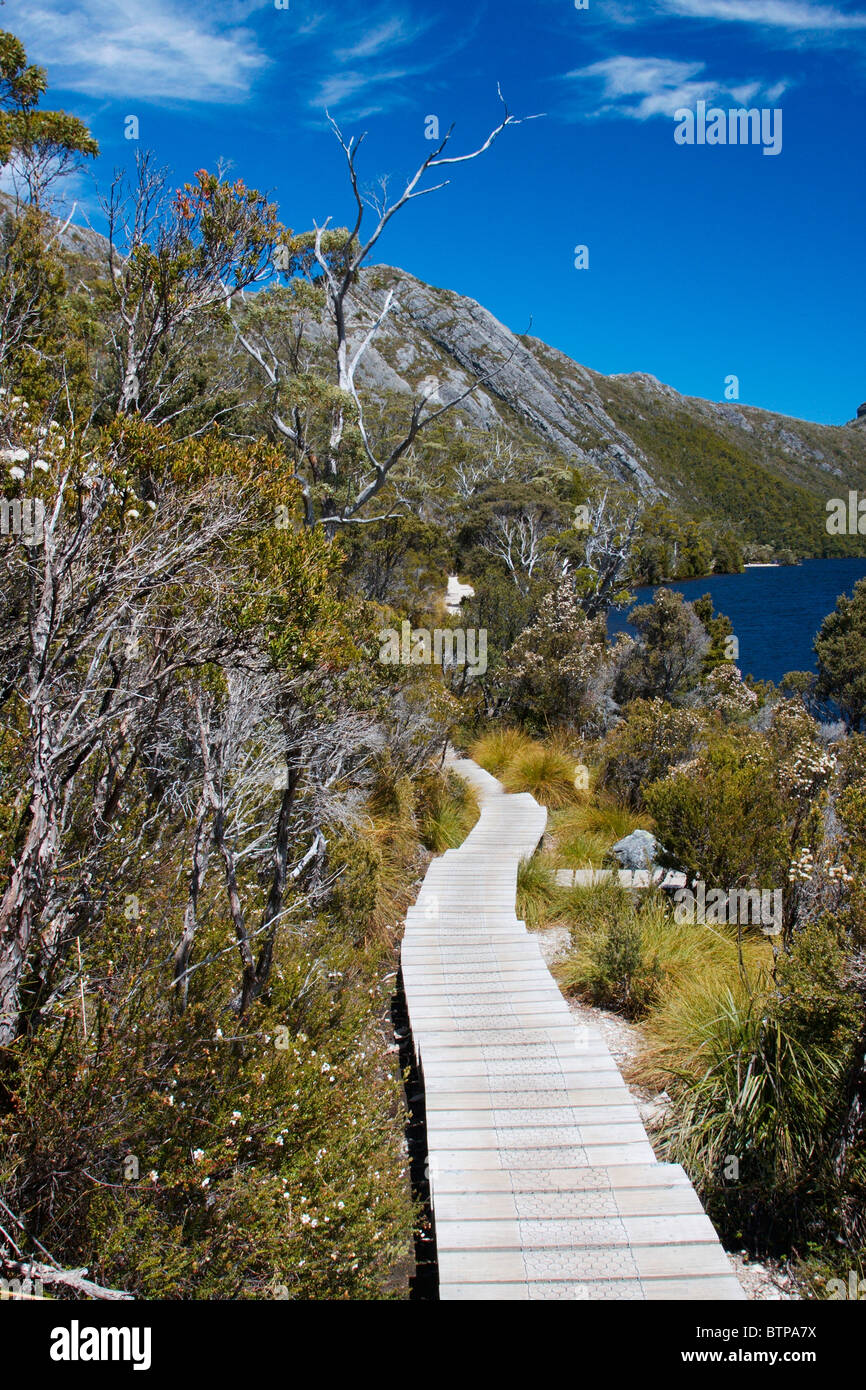 L'Australie, la Tasmanie, le centre nord-ouest, vue de Cradle Mountain et le lac Dove avec boardwalk Banque D'Images