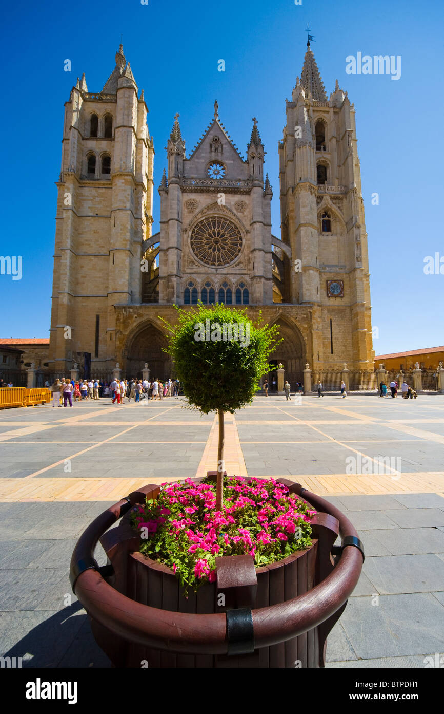 Leon Cathedral, Leon, Espagne Banque D'Images