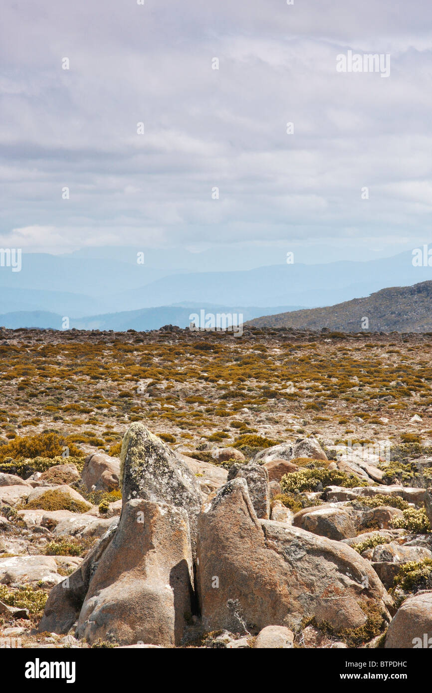 L'Australie, la Tasmanie, Hobart, vue sur le sommet du Mont Wellington Banque D'Images