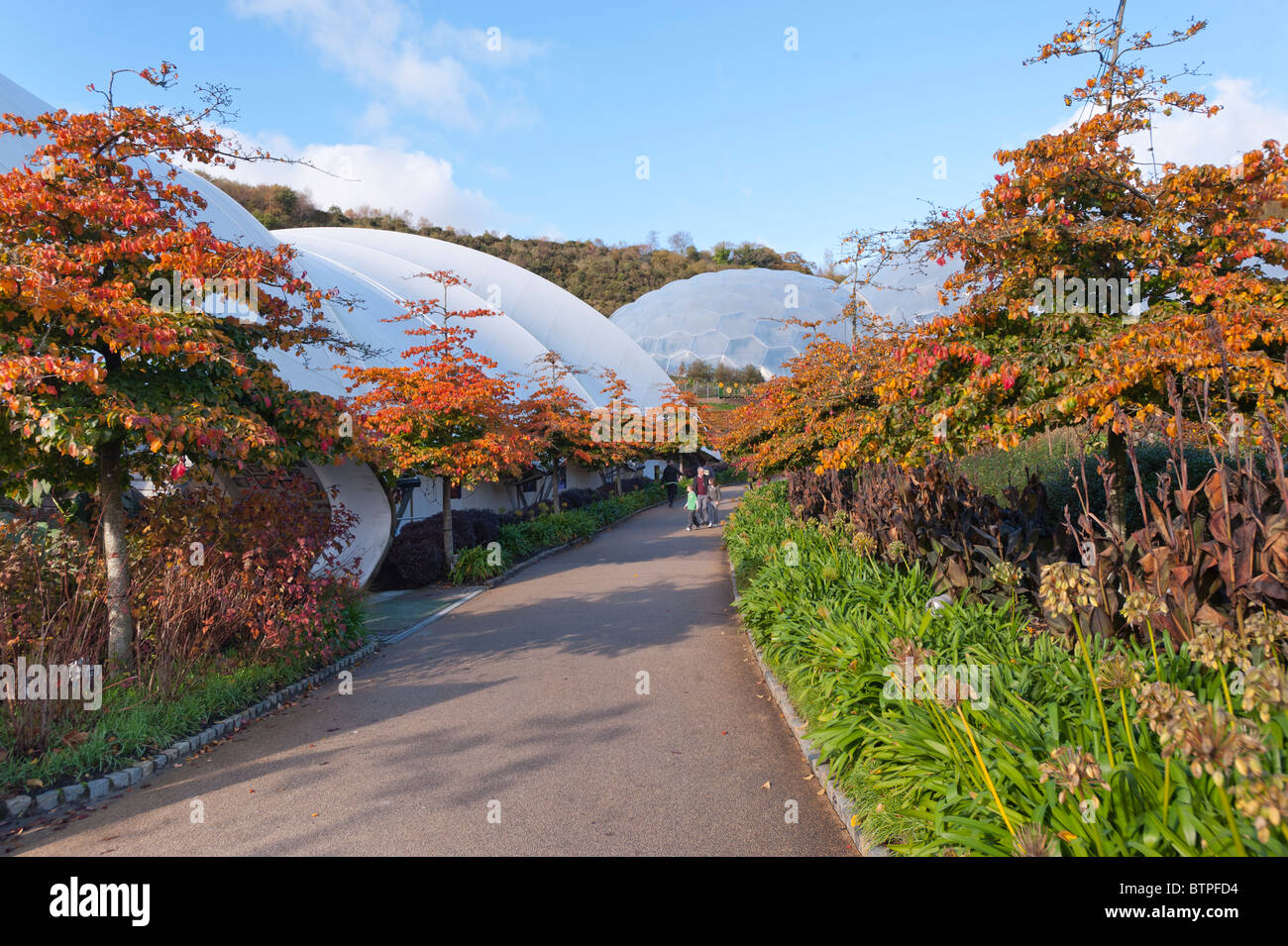 Scène d'automne à l'Eden Project, Cornwall Banque D'Images