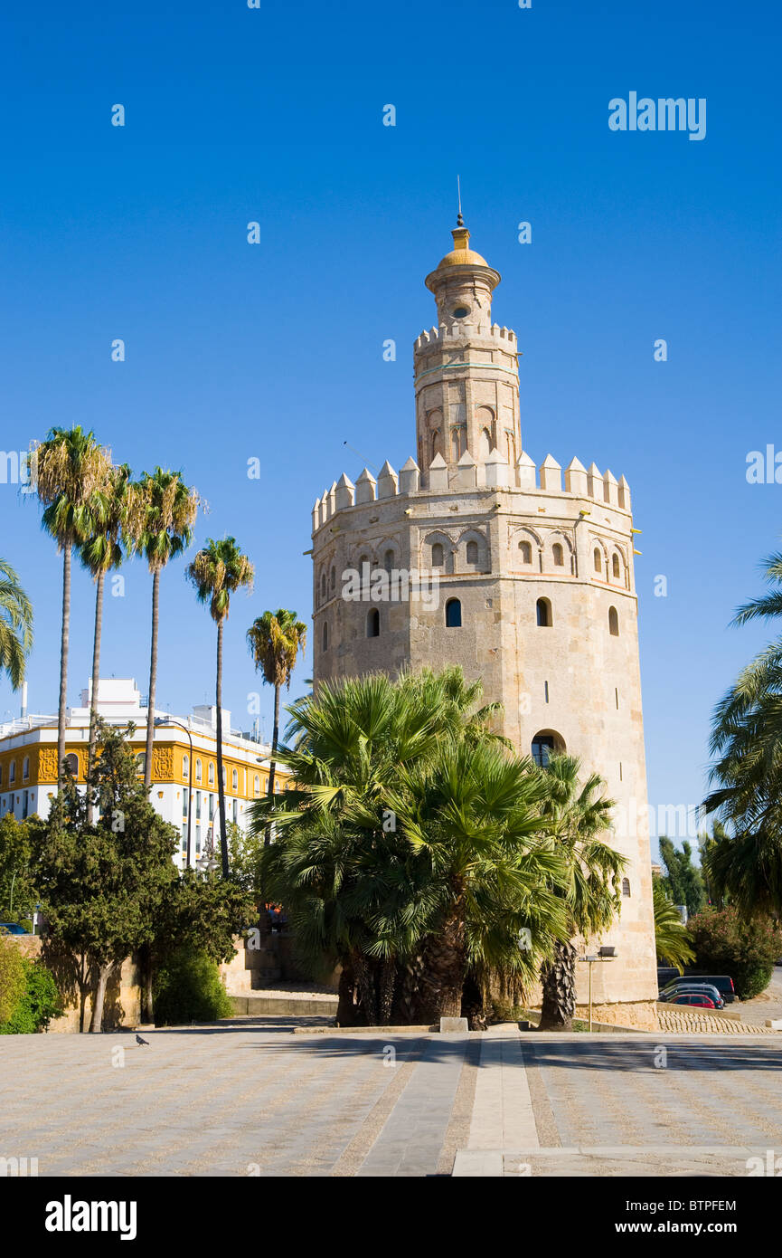 Torre del Orro, Séville, Andalousie, Espagne Banque D'Images