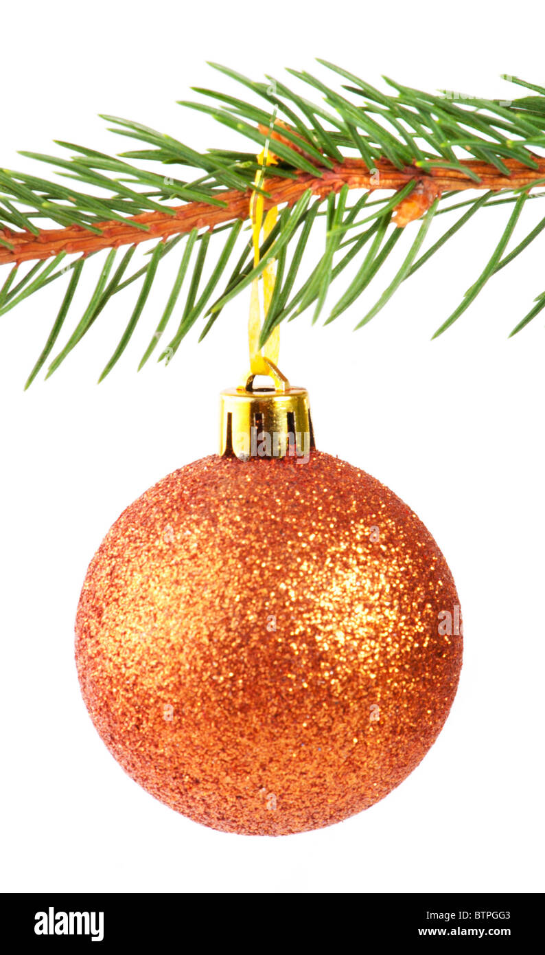 Boule de Noël sur un sapin branch isolated on white Banque D'Images