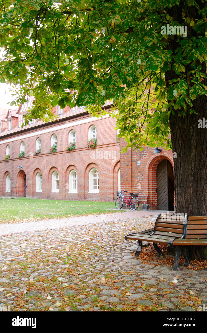 Allemagne, Brandebourg, Kloster Lehnin, banc de parc et l'arbre en face du bâtiment Banque D'Images