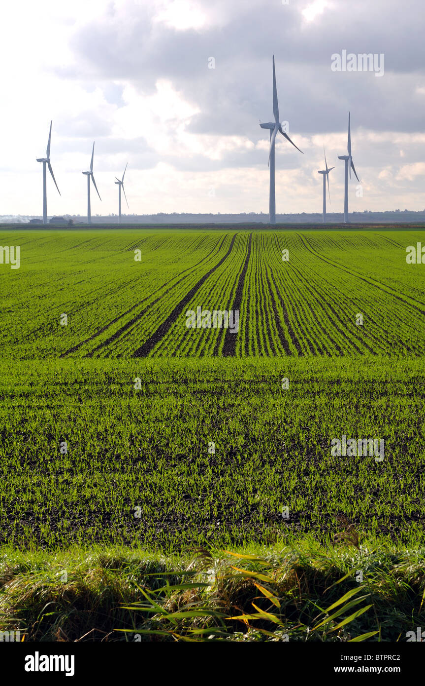 Parc éolien sur Tick Fen près de Chatteris, Cambridgeshire, Angleterre, RU Banque D'Images