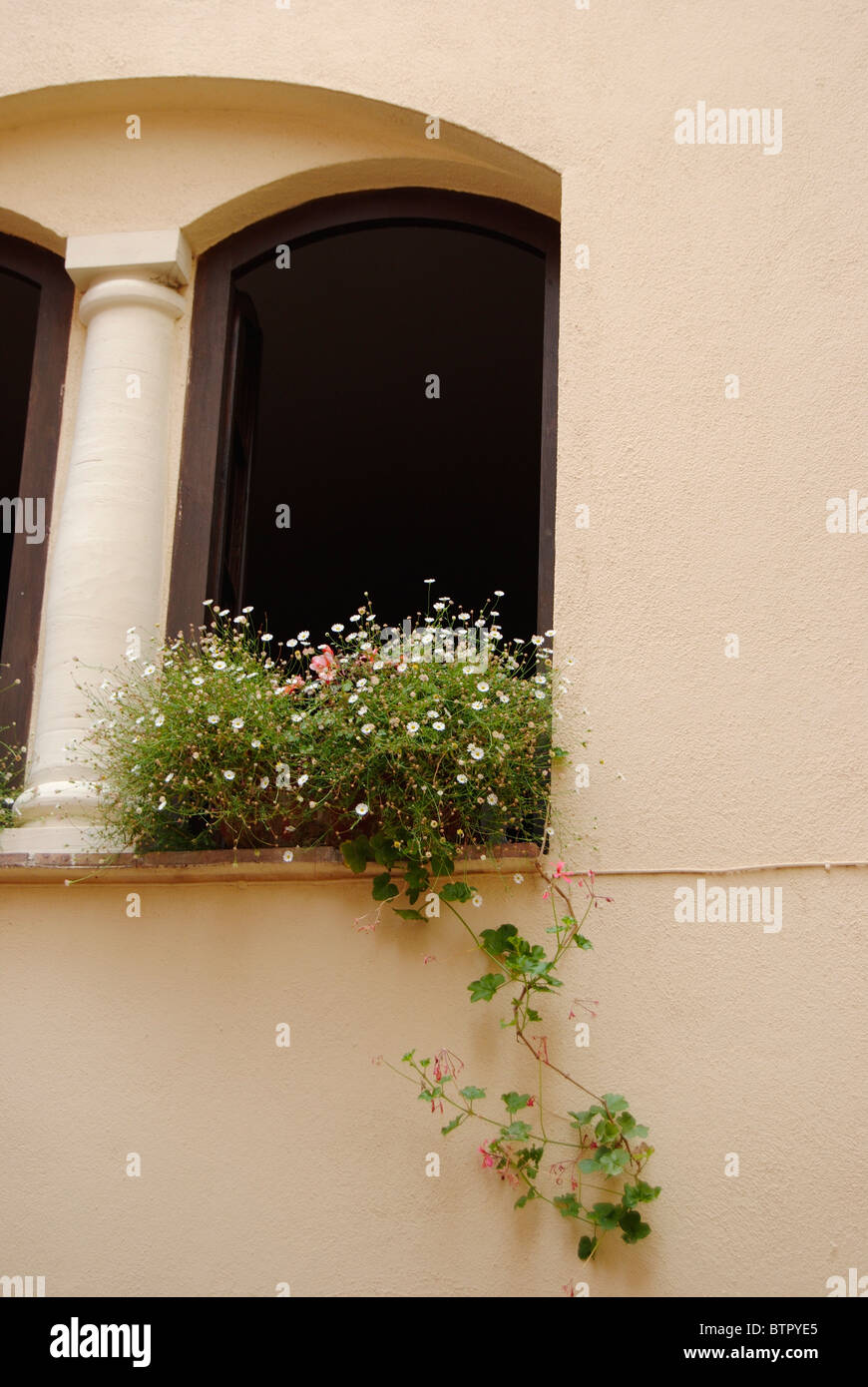 La France, La turbie, plantes à fleurs sur la fenêtre Banque D'Images