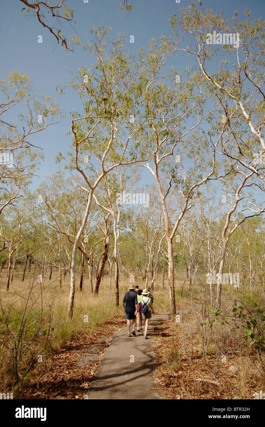 L'Australie, Nourlangie, groupe de personnes à pied à travers la forêt Banque D'Images