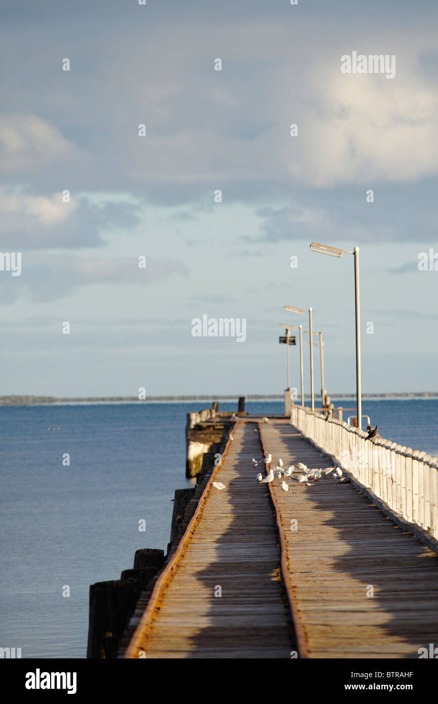 L'Australie, l'Australie du Sud, Streaky Bay, les oiseaux on pier Banque D'Images