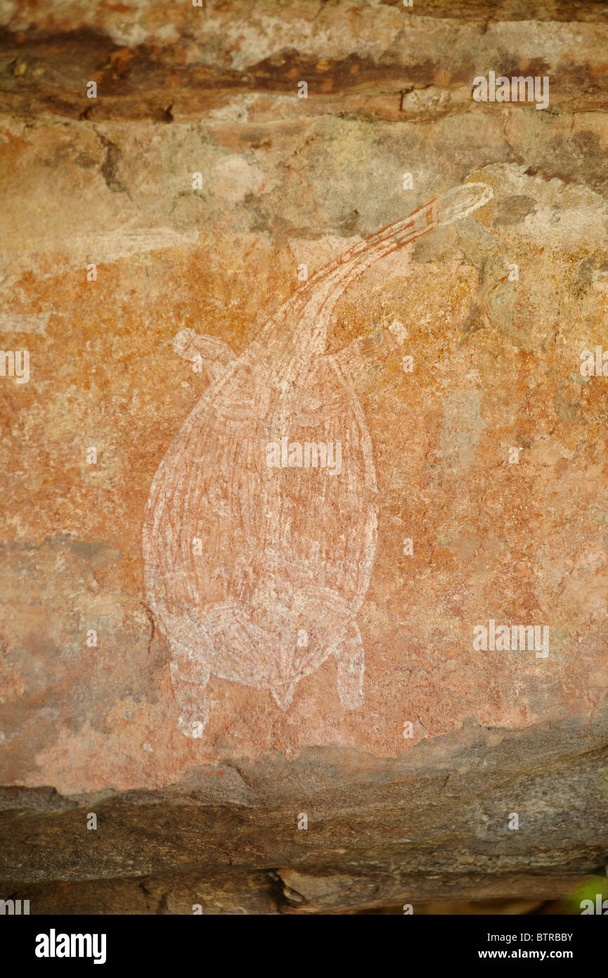 Ubirr Rock Art, Australie Banque D'Images