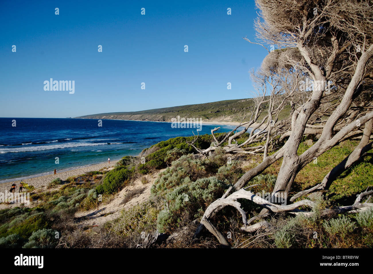 L'Australie, Margaret River, arbres, plage à Yallingup Banque D'Images