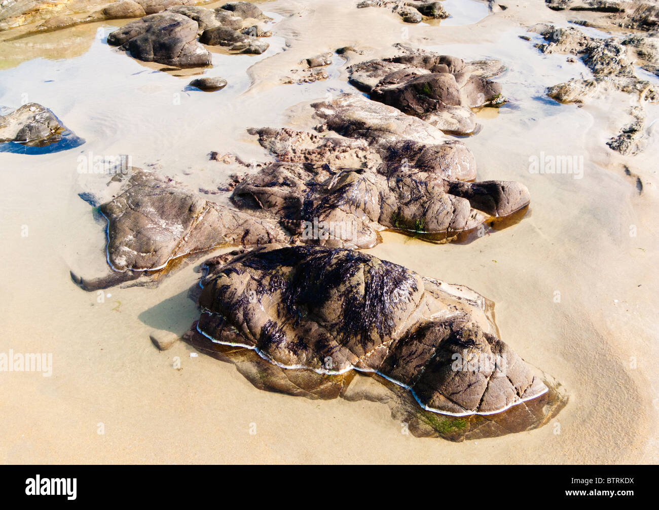 Piscine dans les rochers sur la plage close up Banque D'Images