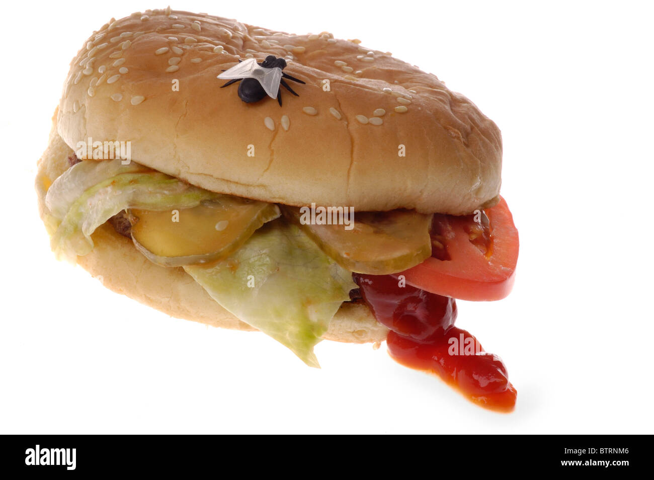 Une grossière à la restauration rapide hamburger avec une mouche en plastique sur elle. Banque D'Images
