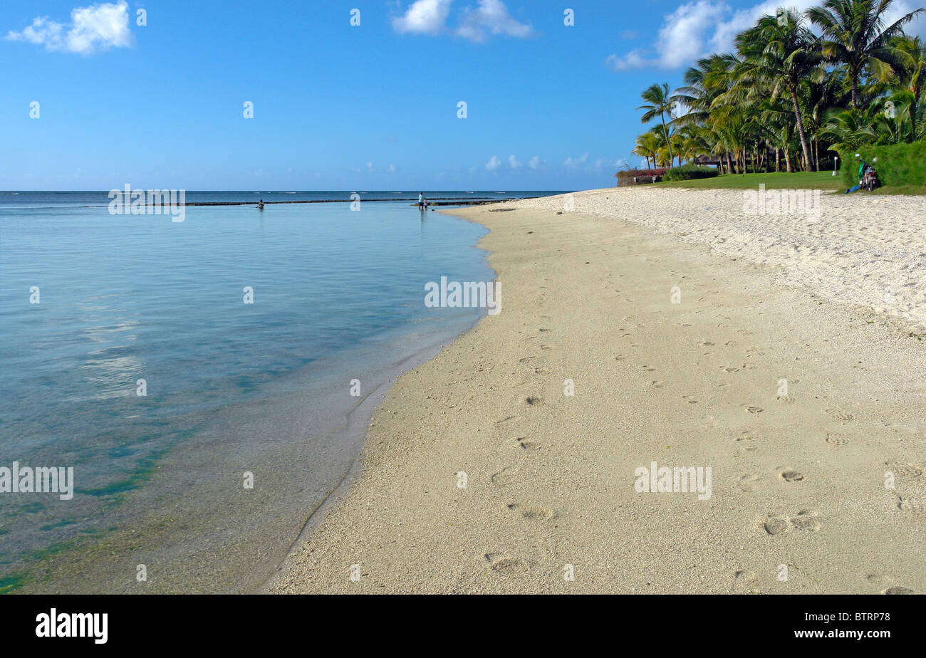 Plage en face de l'hôtel Oberoi, Baie aux Tortues, l'île Maurice Photo Stock Alamy Plage en face de l'hôtel Oberoi, Baie aux Tortues, l'île Maurice Photo Stock Alamy