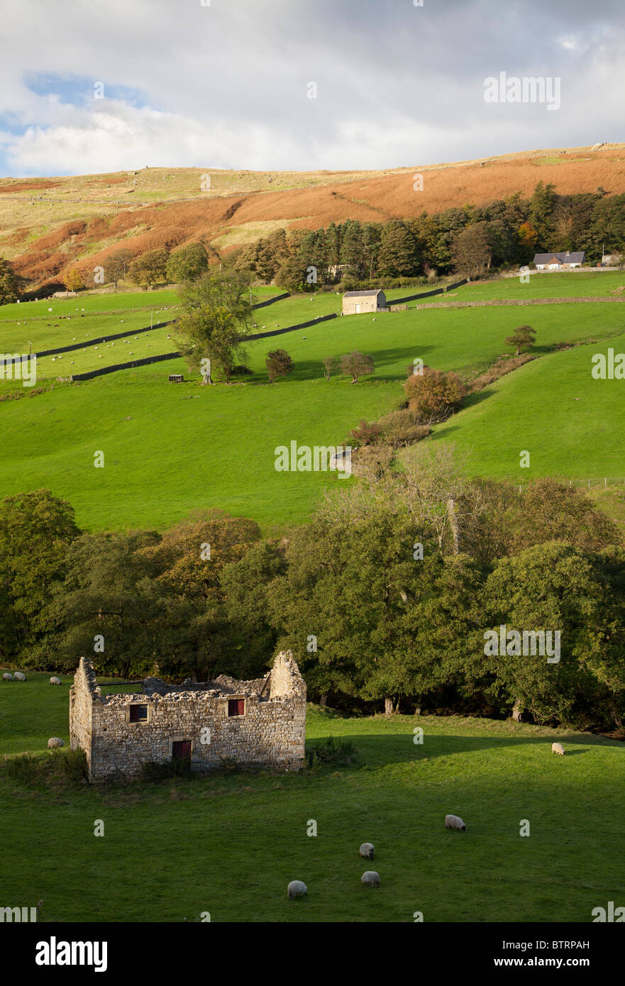 Domaine grange en ruines Nidderdale, Yorkshire du Nord. Banque D'Images