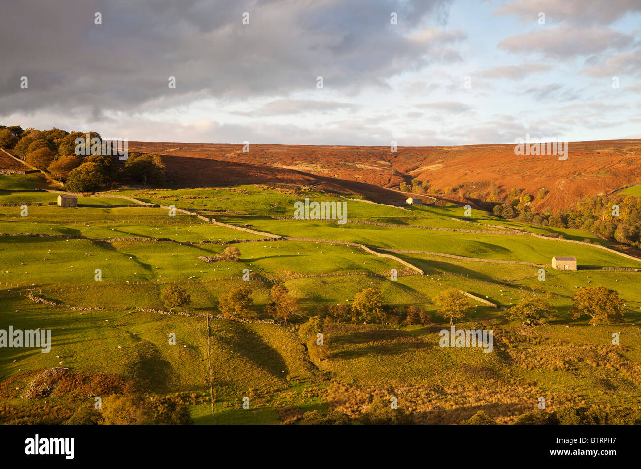 Domaine des granges de Nidderdale, près de maison Scar réservoir, Yorkshire du Nord. Banque D'Images