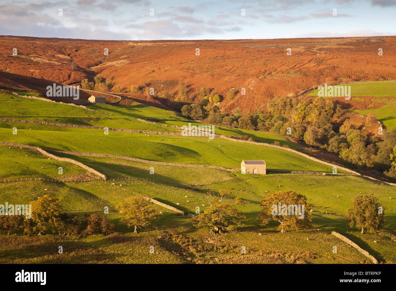 Domaine des granges de Nidderdale, près de maison Scar réservoir, Yorkshire du Nord. Banque D'Images