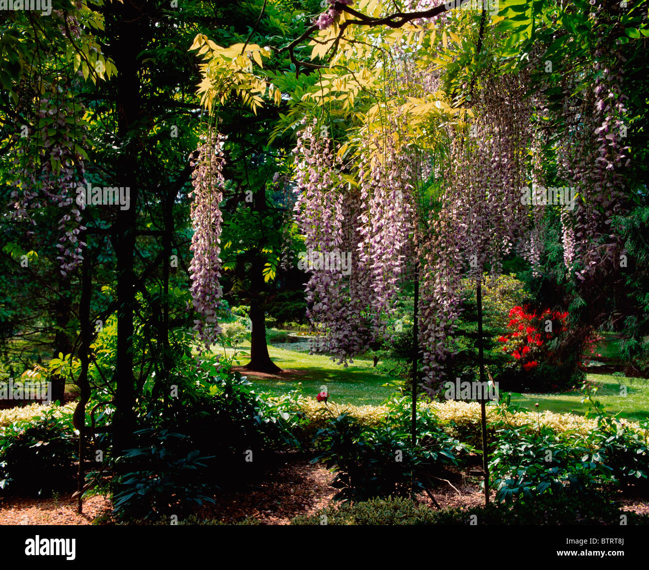Irish National Botanic Gardens, Dublin, Dublin, Irlande Banque D'Images