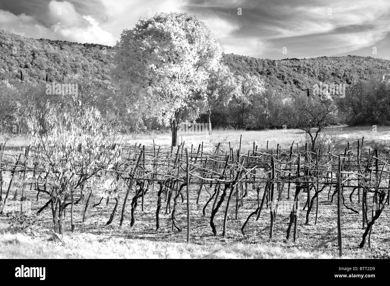 Un paysage karstique pris en infrarouge Banque D'Images