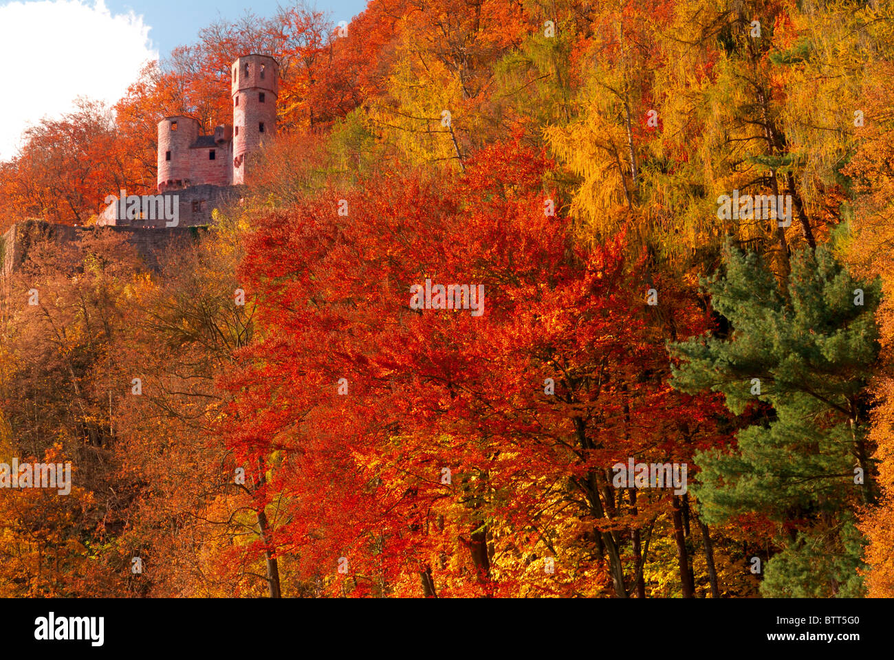 L'Allemagne, l'Odenwald : Château Schadeck entouré de la forêt d'automne à Neckarsteinach Banque D'Images