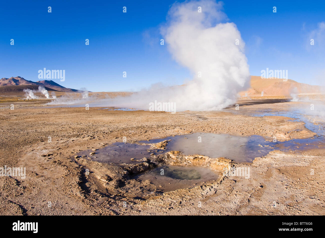 Des geysers El Tatio, Désert d'Atacama, Chili, région Antofagasto Banque D'Images