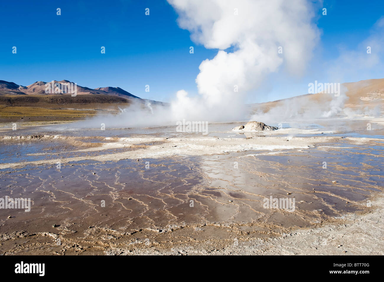 Des geysers El Tatio, Désert d'Atacama, Chili, région Antofagasto Banque D'Images