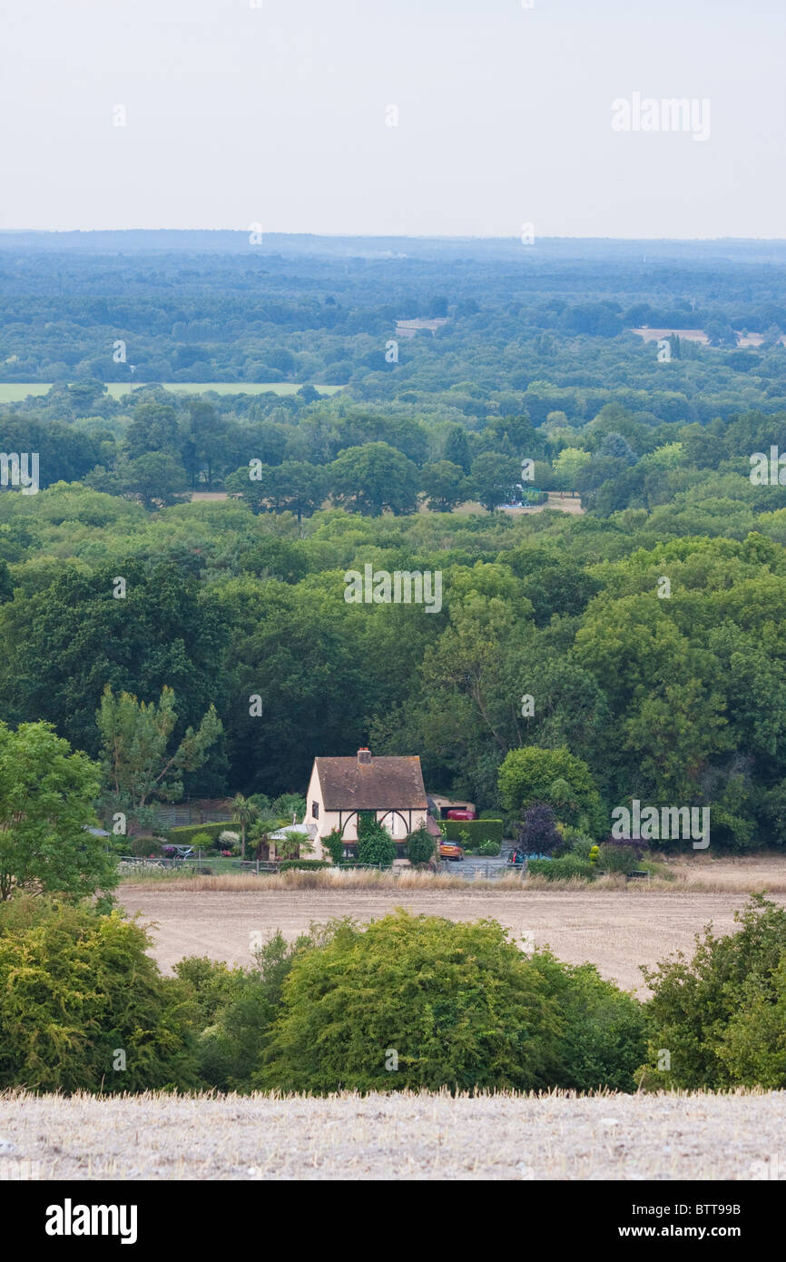 Surrey en Angleterre à l'été 2010 Banque D'Images