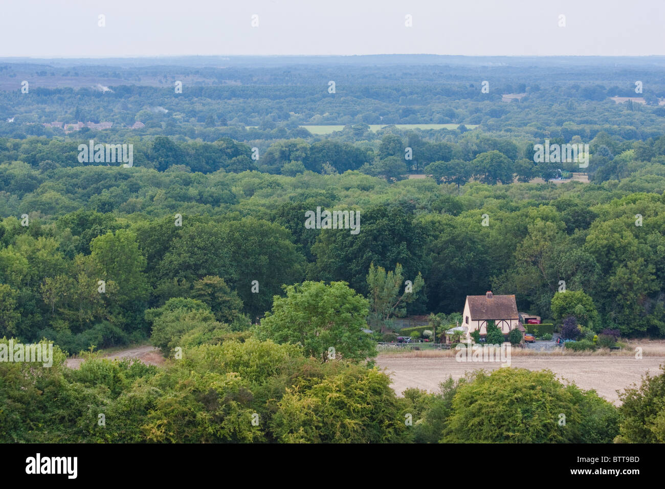 Campagne près de Guildford Surrey en Angleterre à l'été 2010 Banque D'Images