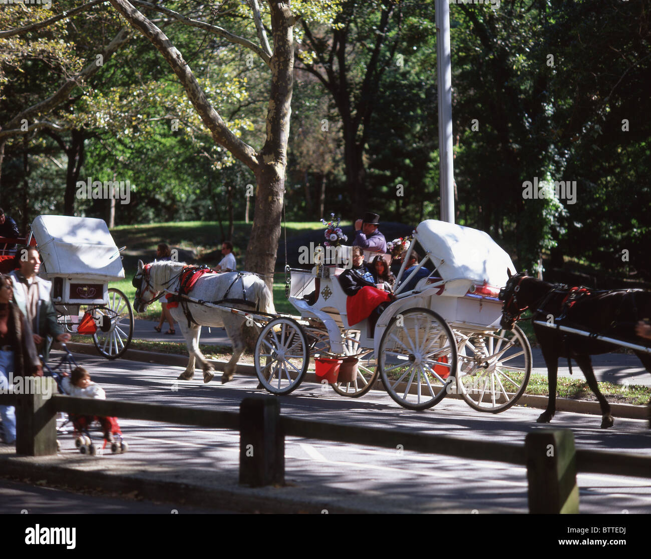 Voitures à cheval, Central Park, Manhattan, New York, État de New York, États-Unis d'Amérique Banque D'Images